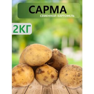"Сарма"Семенной картофель "Суперэлита", 2 кг
