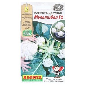 Семена Агрофирма АЭЛИТА Капуста цветная Мультибол, F1, 5 шт