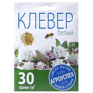 Семена Агроуспех Клевер белый, 30 г, 0.03 кг