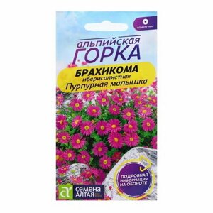 Семена Брахикома "Пурпурная малышка", 0.05 гр