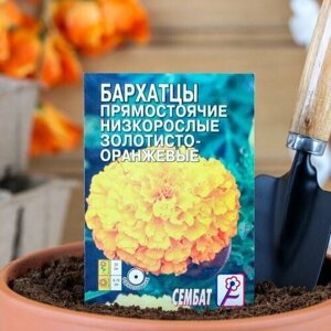 Семена цветов Бархатцы прямостоячий низкорослый золотисто-оранжевый, О, 0,1 г, 5 пачек