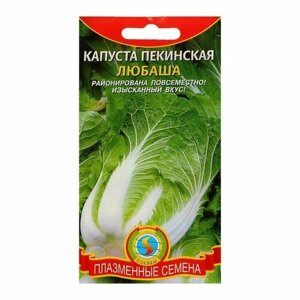 Семена Капуста пекинская "Любаша", 0,5 г (3 шт)