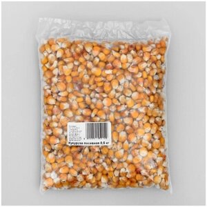 Семена Кукуруза посевная. 0.5 кг