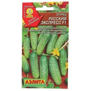 Семена Огурец 'Русский экспресс' F1, среднеранний, пчелоопыляемый, 0,3 г