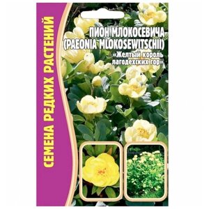 Семена Пиона Млокосевича (желтый пион лагодехских гор) (3 сем.)