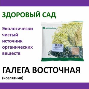 Семена сидерата Галега восточная (козлятник) здоровый САД , 0,5 кг