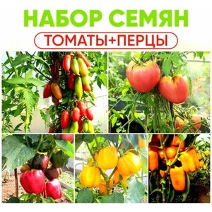 Семена томатов, семена перца сладкого, набор семян Томаты, Перцы