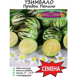 Семена Тзимбало "Solanum Caripense" 15 шт.