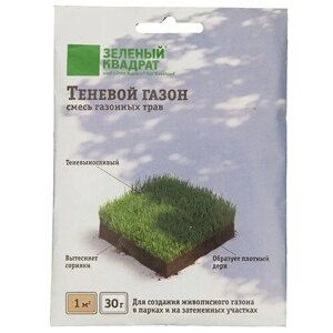 Семена Зеленый квадрат Теневой газон, 30 г, 0.03 кг
