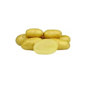 Семенной картофель Колетте 10 кг