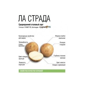 Семенной картофель Ла Страда 2 кг