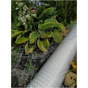 Сетка садовая с квадратной ячейкой 13х15 мм , сетка от кротов, размером 2х10м, Белый