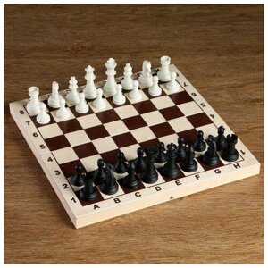 Шахматные фигуры, король h=6.2 см, пешка h=3.2 см, чёрно-белые 2590515