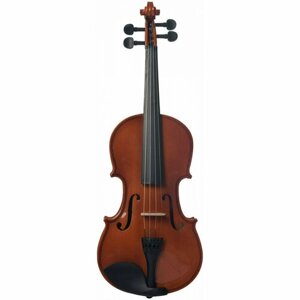 Скрипка 1/2 VESTON VSC-12 PL, в комплекте смычок, канифоль, футляр