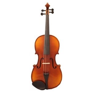 Скрипка ALINA PRO AAV014