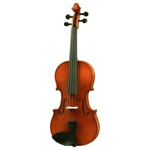 Скрипка ARS Music 024A размер 1/2