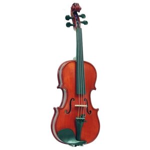 Скрипка Gliga Gems1 AW-V014
