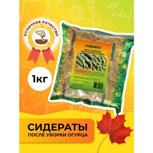 Смесь сидератов после уборки огурцов 1кг садовита