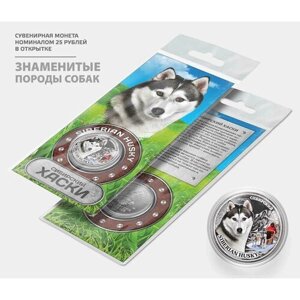 Сувенирная монета 25 рублей "Хаски" цветная с гравировкой в подарочной открытке