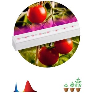 Светильник для растений, фитолампа светодиодная линейная ЭРА FITO-14W-Т5-N красно-синего спектра 14 Вт Т5