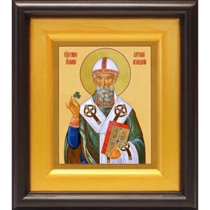 Святитель Патрикий, епископ Ирландский, икона в широком киоте 16,5*18,5 см