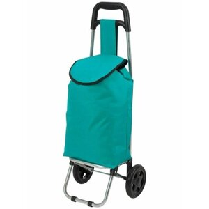 Тележка с сумкой WR3030 "Бирюза", пластиковые колеса, грузоподъемность 15 кг
