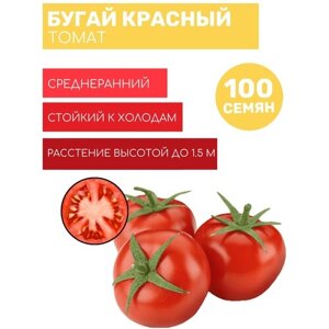 Томат Бугай красный "макси" 100шт семян