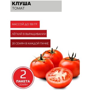 Томат Клуша 2 пакета по 20шт семян