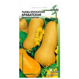 Тыква мускатная Арабатская, 10 семян