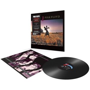 Виниловая пластинка Pink Floyd. A Collection Of Great Dance Songs (LP)