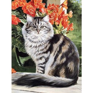 Алмазная картина 40х50 "Полосатый кот" с подрамником