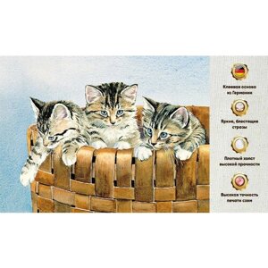 Алмазная мозаика 30х40, на подрамнике, полная выкладка квадратными стразами, три кота, коты, животные
