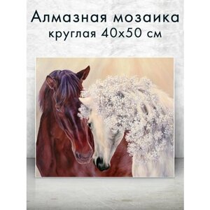Алмазная мозаика (круглая) Пара лошадей 40х50 см