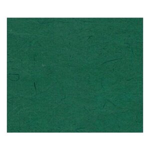 Бумага рисовая для декупажа однотонная (48х33 см) / Stamperia, артикул DFSC010