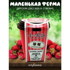 Детская рассада "Маленькая ферма" в стакане / Клубника