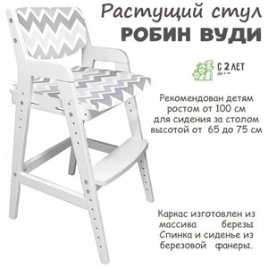 Детский растущий стул "Вуди" с подушками (38 Попугаев), цвет Белый/зигзаг