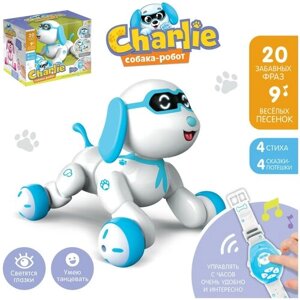 IQ BOT Робот-игрушка радиоуправляемый Собака Charlie, световые и звуковые эффекты, русская озвучка