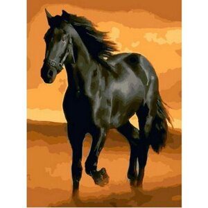 Картина по номерам 000 Hobby Home Черный конь 40х50