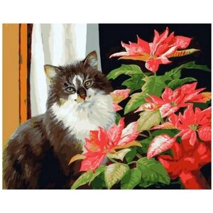 Картина по номерам 000 Hobby Home Кот и цветок 40х50