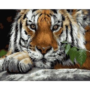 Картина по номерам 000 Hobby Home Тигр 40х50