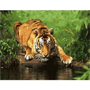 Картина по номерам 000 Hobby Home Тигр на водопое 40х50