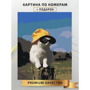 Картина по номерам Кот в шляпе и очках / A cat in a hat and glasses холст на подрамнике 40*50