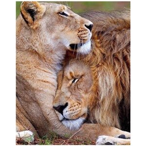 Картина стразами Лев и львица: на страже сна
