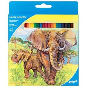 Kite цветные карандаши Животные, 24 цвета (K17-055-1)