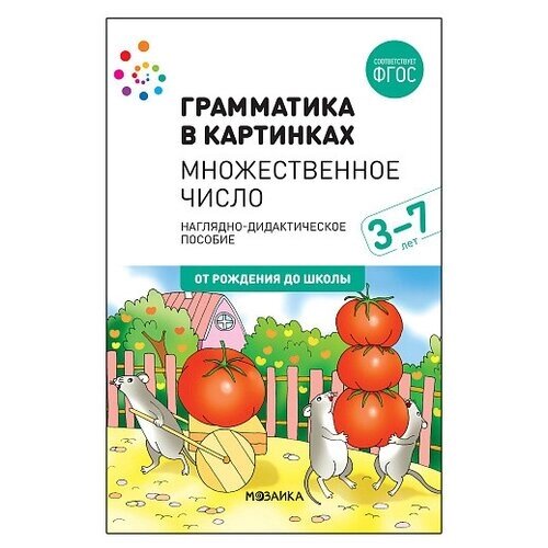 Книга Мозаика-Синтез Наглядное пособие. Грамматика в картинках. Множественное число, 29.5х20.5 см