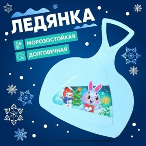 Ледянка Новогодний заяц