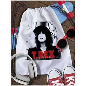 Мешок для сменной обуви T. Rex - 2872