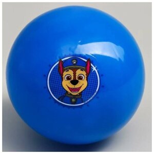 Мяч детский Paw Patrol «Гончик», 16 см, 50 г, цвета микс