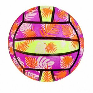 Мяч "Растения" 4 цвета микс (22см) кратно 10 (арт. TY45)