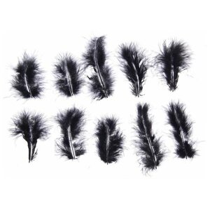 Набор перьев для декора 10 шт., размер 1 шт: 10 2 см, цвет чёрный
